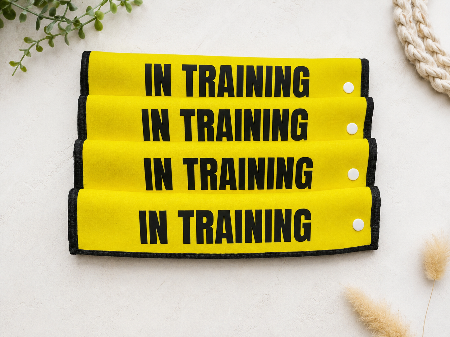IN TRAINING Dog Leash Sleeve | Snap Button | 2 Colors
